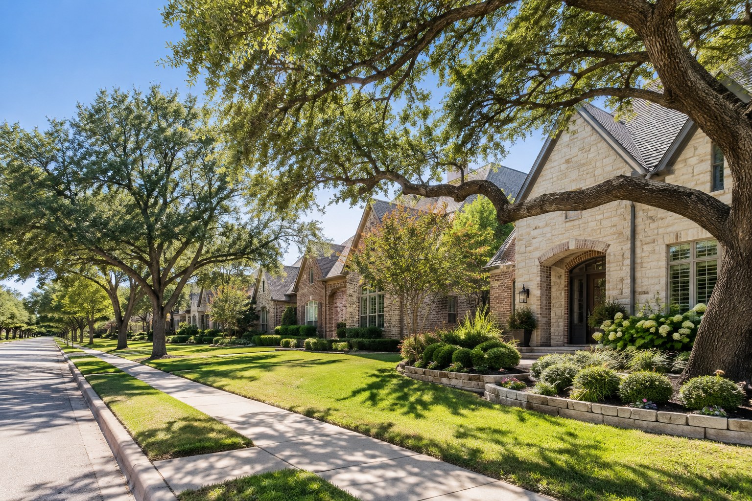 A quiet North Texas street with mature trees, illustrative